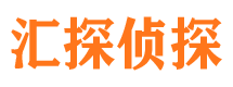 陆河侦探调查公司